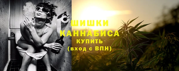 амф Вязьма