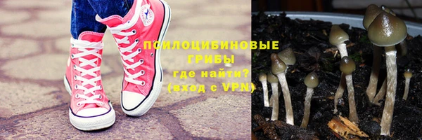 герыч Вяземский