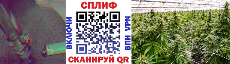 Бошки марихуана OG Kush  Купить закладки  Сим 